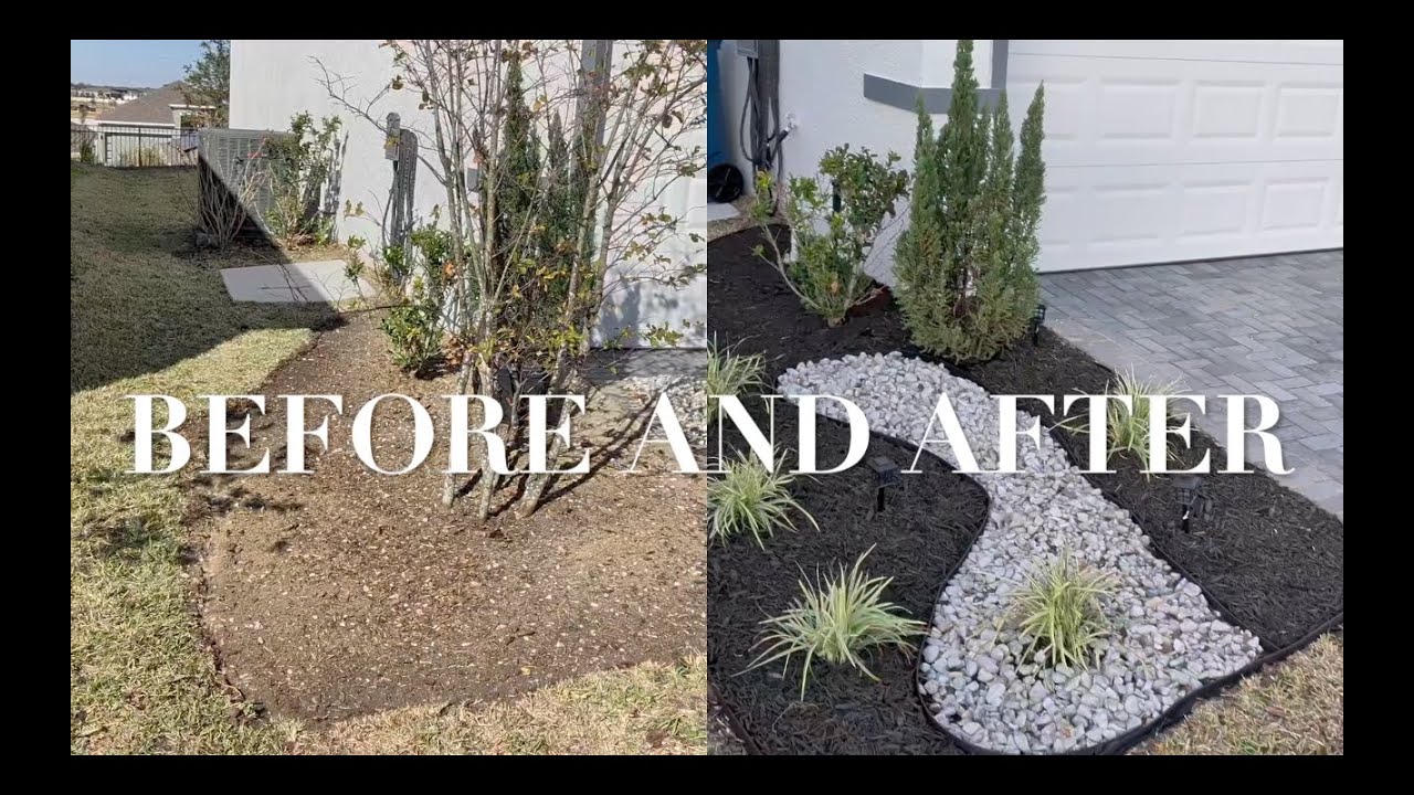 Lawn Transformation