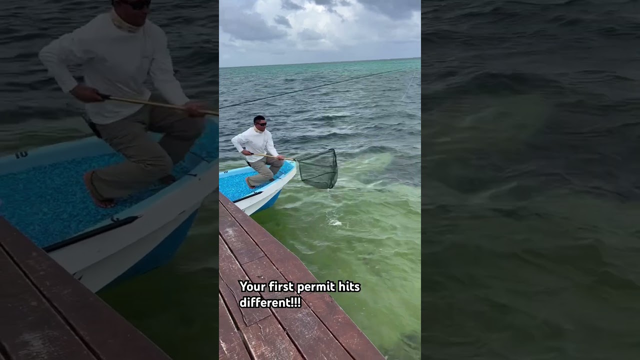 Netting your first permit is a core memory for any fly fisher! #flyfish #permit #travel
