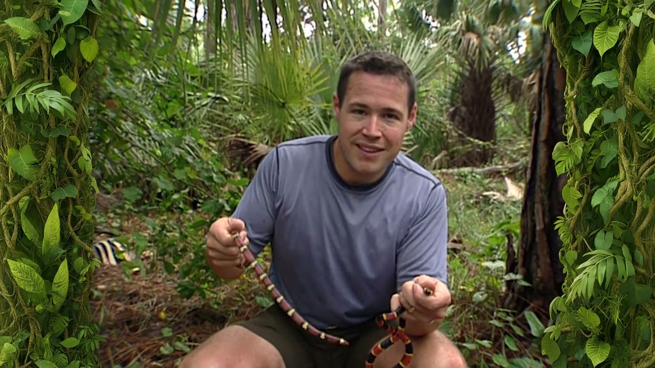 Red & yellow kill a fellow!