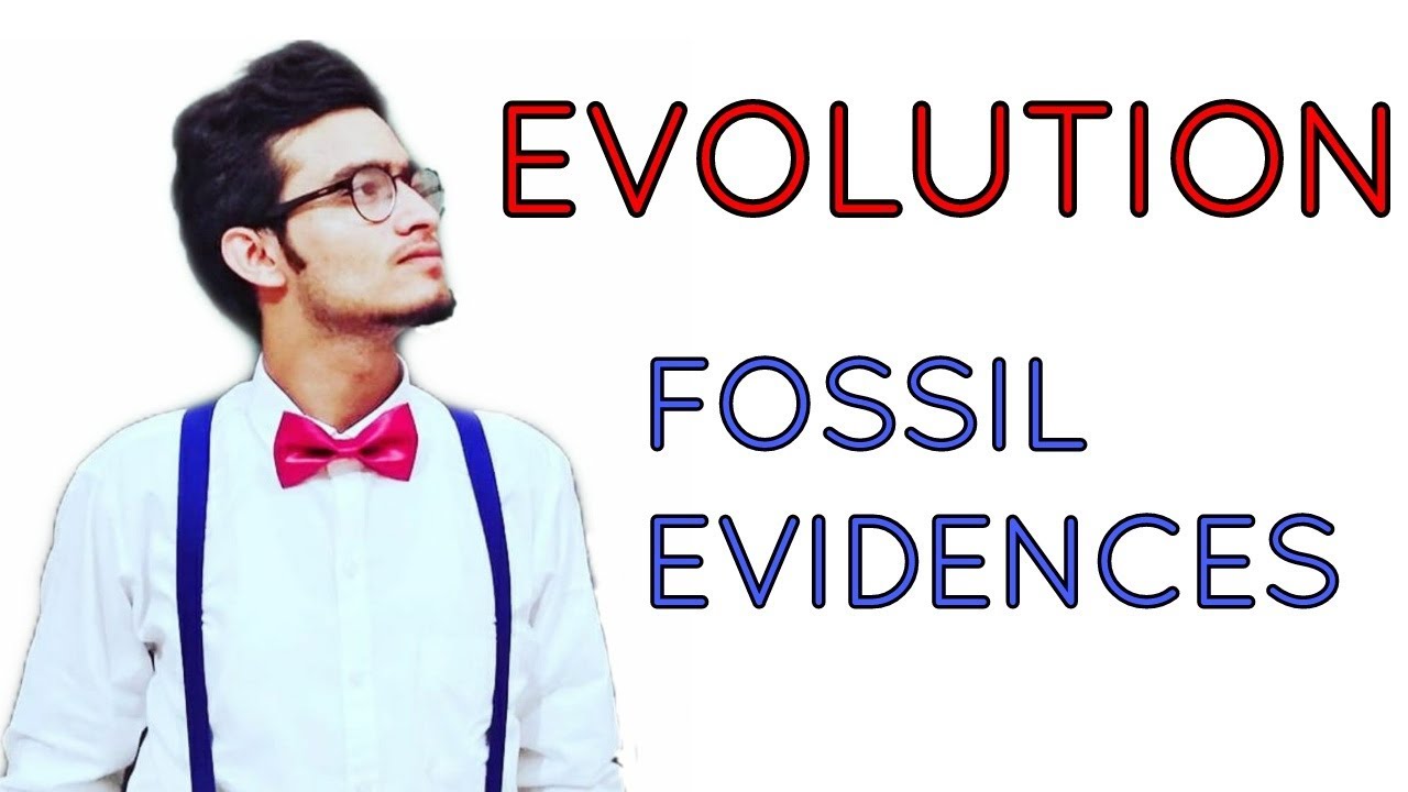 Evidences of Evolution- Fossil or paleontological evidences