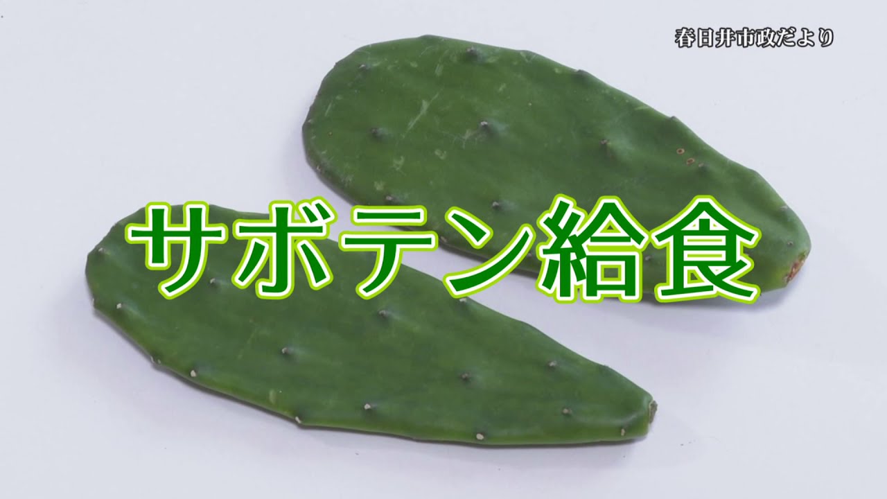 市政だより　サボテン給食