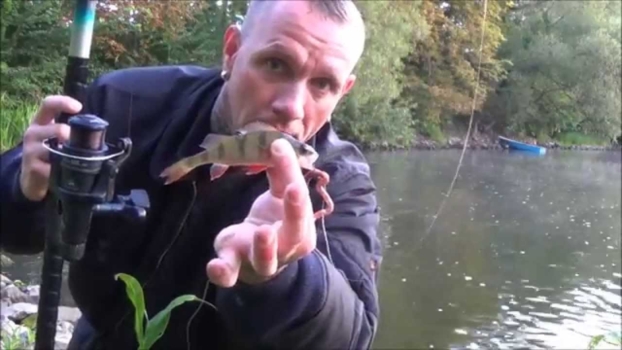 Angeln mit Andy in der Heimat Rathenow Havel  Brandenburg   Aal Barsch #German