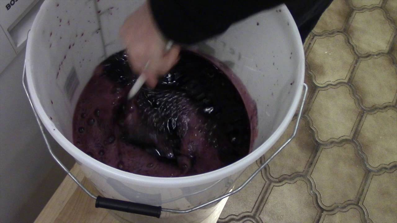How to brew a KenRidge Pinot Noir Red Wine Kit | Brewbitz Homebrew Shop