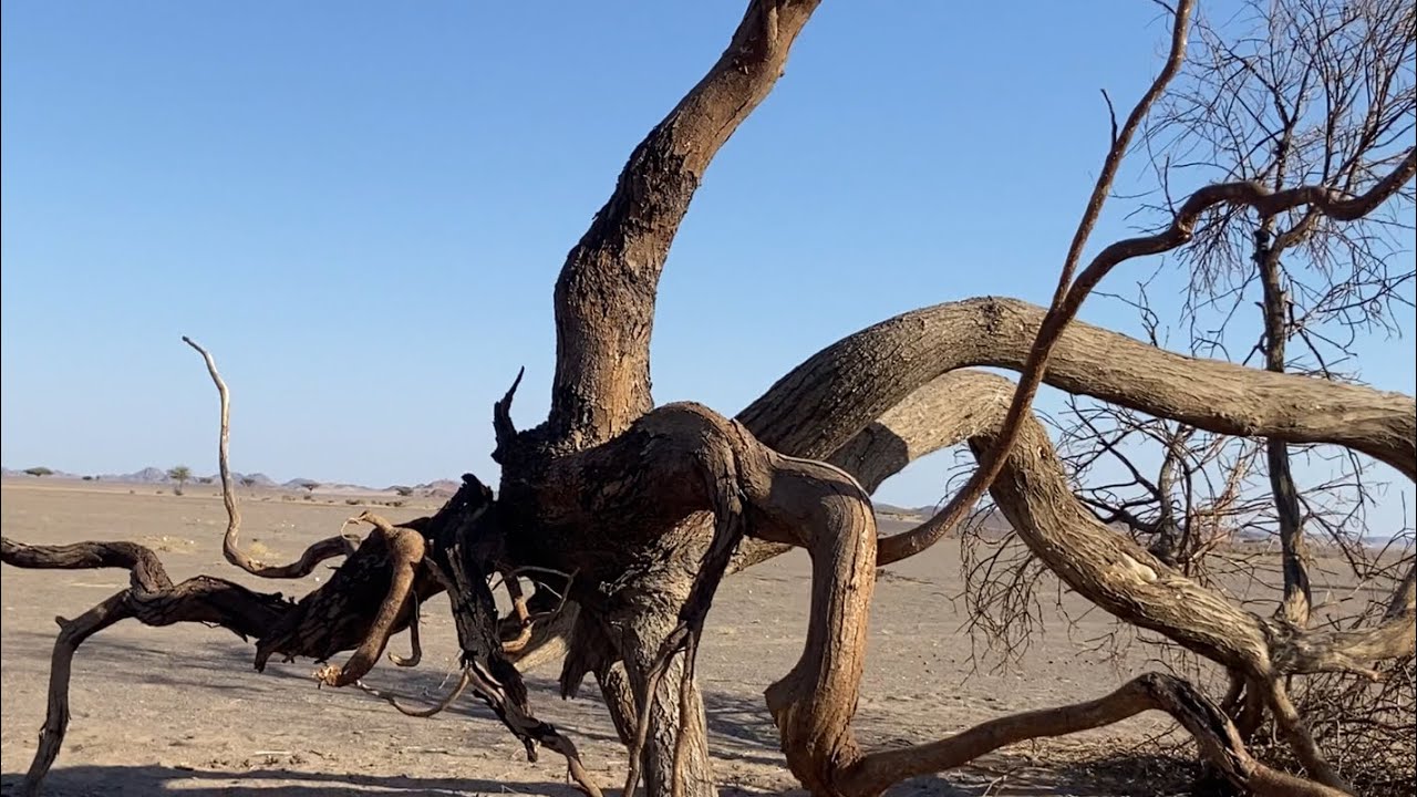 وادي ساحوق الذي سحق الشجر والبشر
