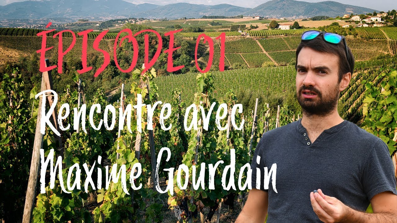 L'art des vignes #01 - Première partie - À la rencontre du vigneron