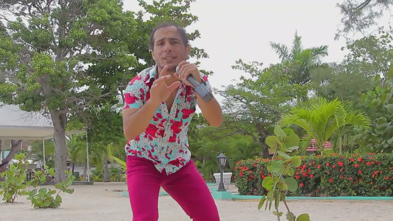 José Andry EL DIBU - LA FIESTA COMENZÓ (Revista Musical de Fin de Año 2024, Perlavisión)