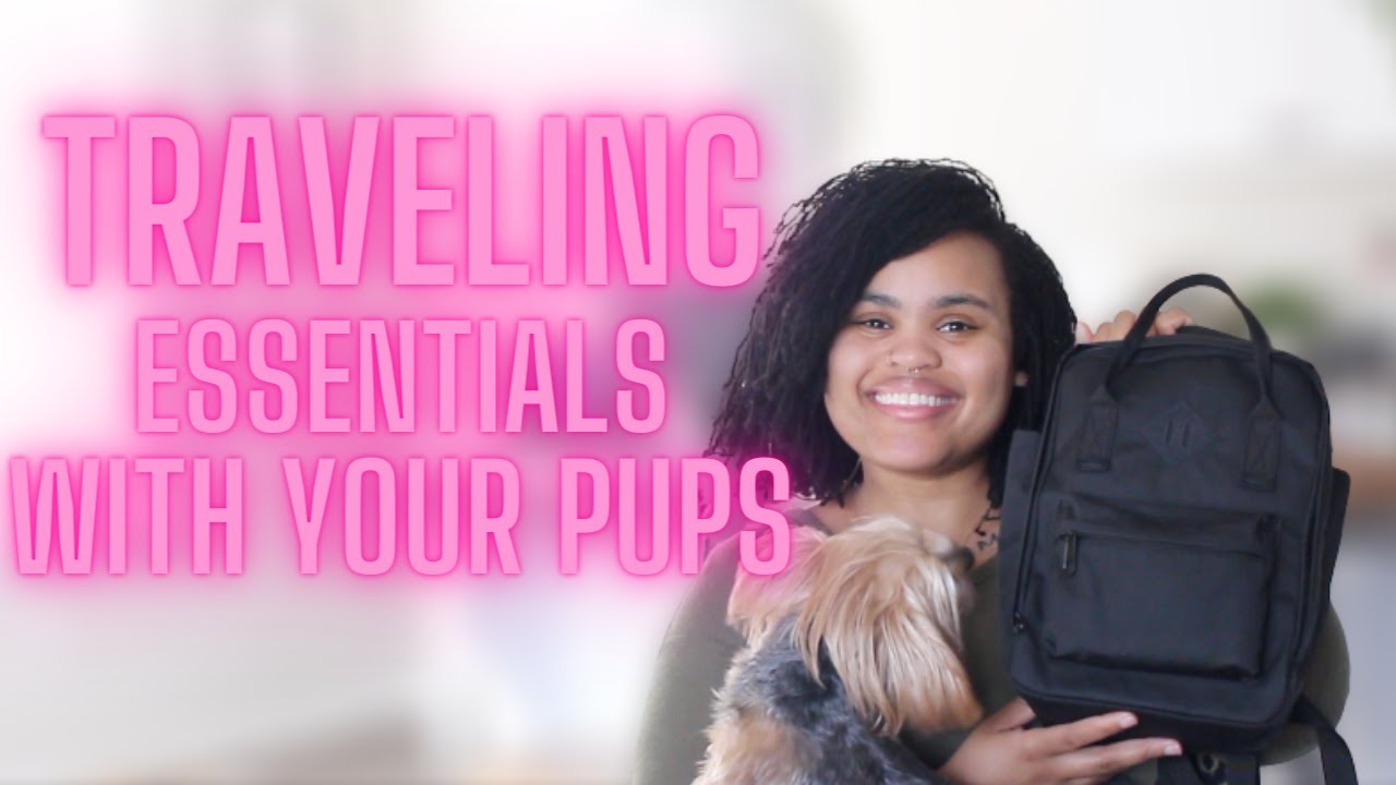 Whats In Our Dog Bag? | Traveling Essentials For Your Pups!