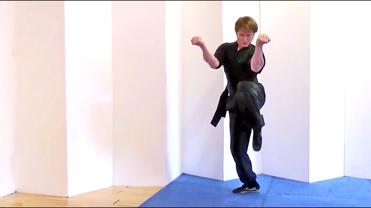 Choy Li Fut Kung Fu | Iron Arrow long fist form