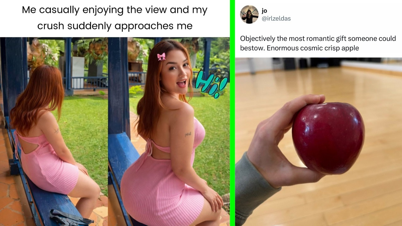 Funny Memes 153 | Objectively the most romantic gift someone could bestow