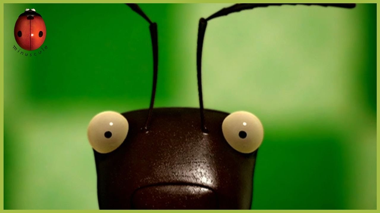 Bananas | Minuscule 🍃 40' Compilation