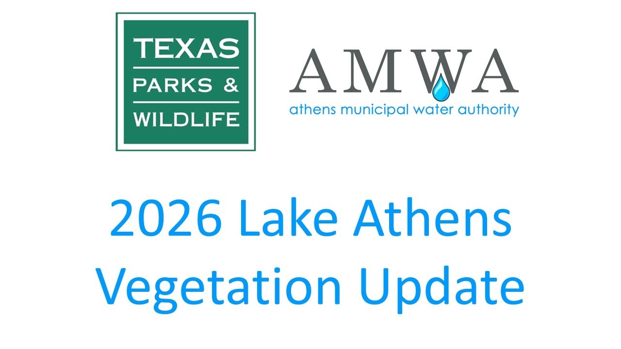 Lake Athens Vegetation Update for 2026