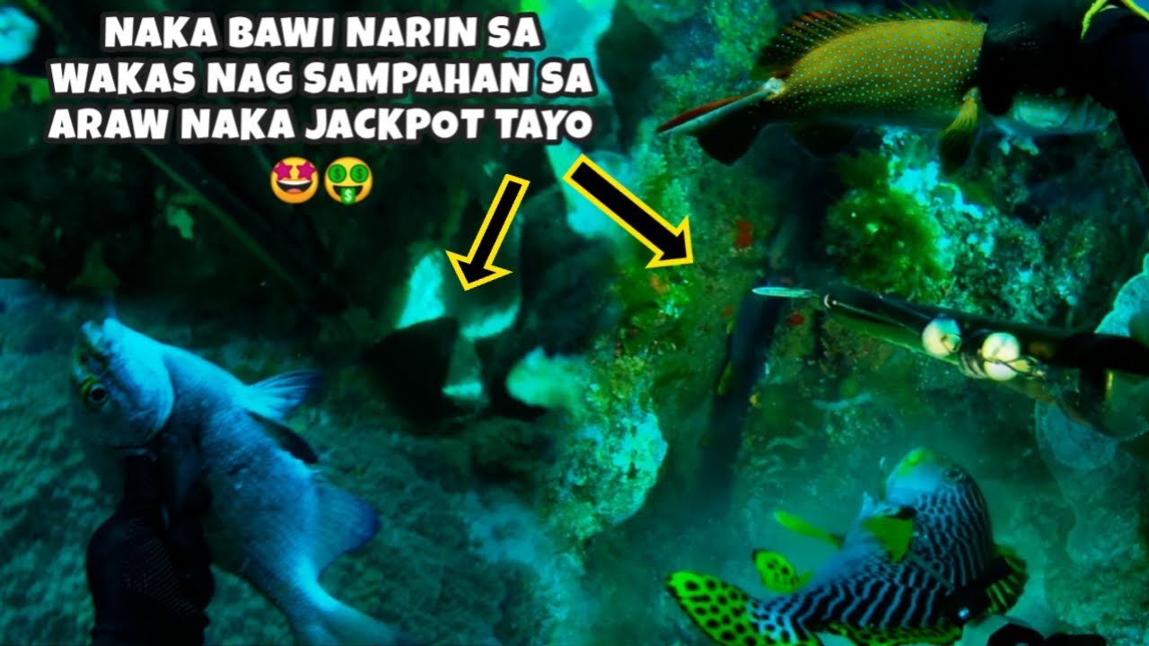 EP 412:NAKA BAWI NARIN SA WAKAS NAG SAMPAHAN SA ARAW NAKA JACKPOT TAYO|DAY SPEARFISHING PHILIPPINES