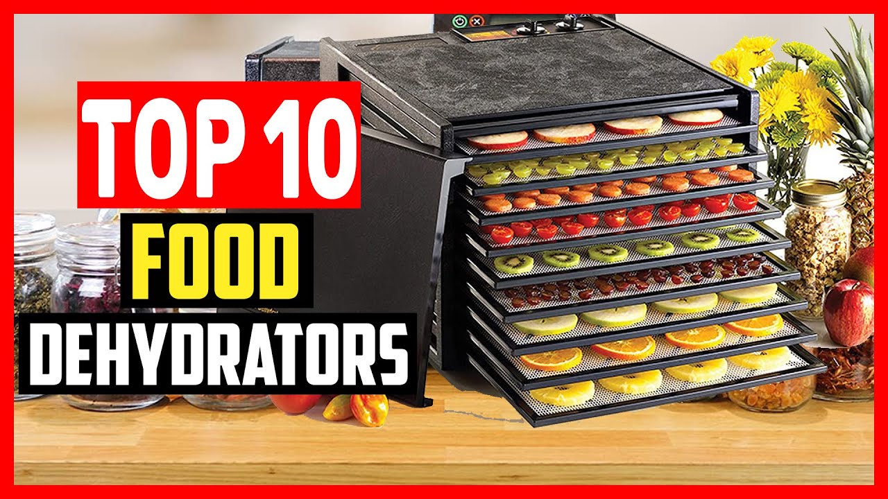 ✅Top 10 Best Food Dehydrators of 2025