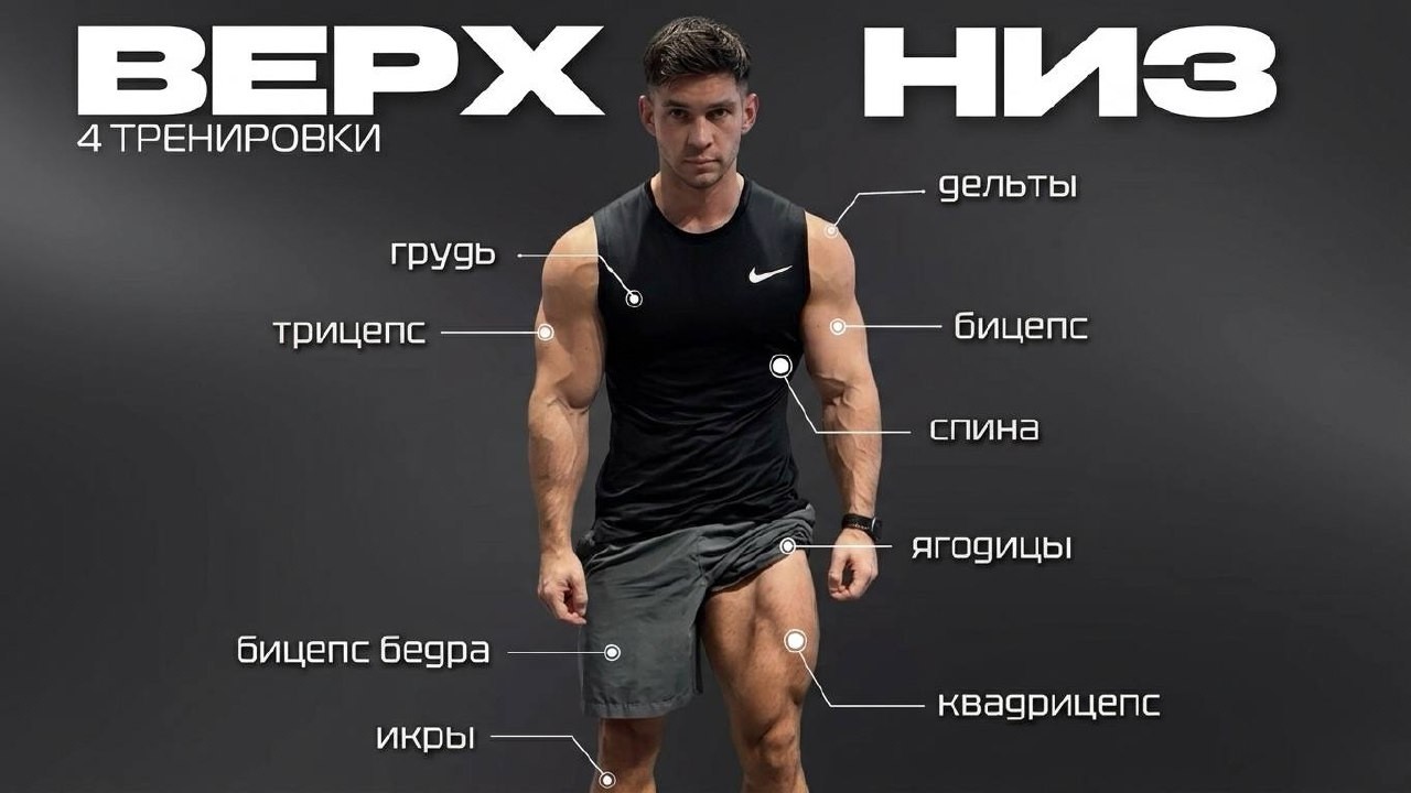 Идеальный сплит на 4 дня: Программа ВЕРХ-НИЗ для роста мышц