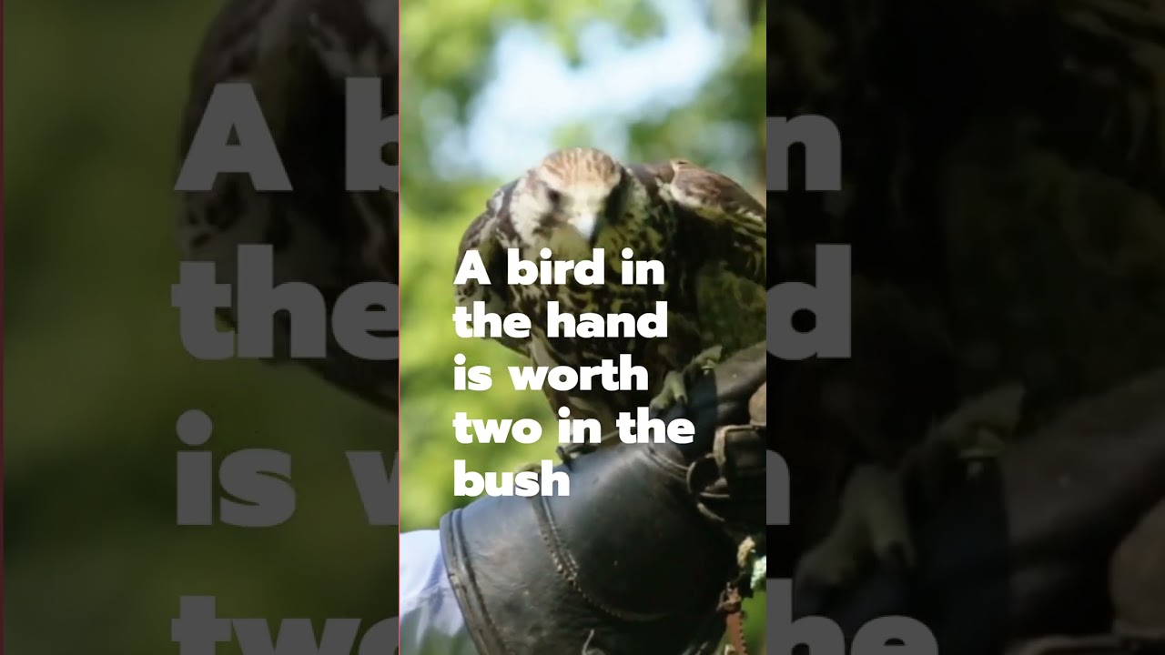 A bird in the hand is worth 2 in the bush