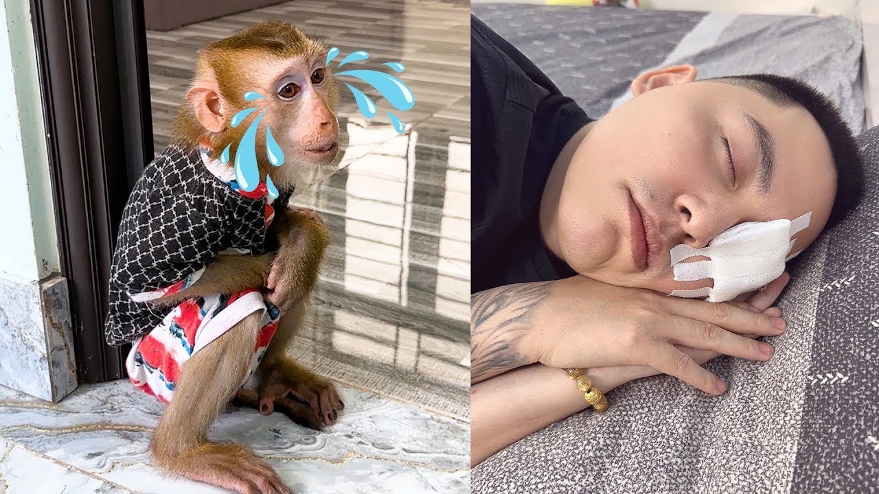 Monkey Kaka was worried, not knowing what had happened to his dad.
