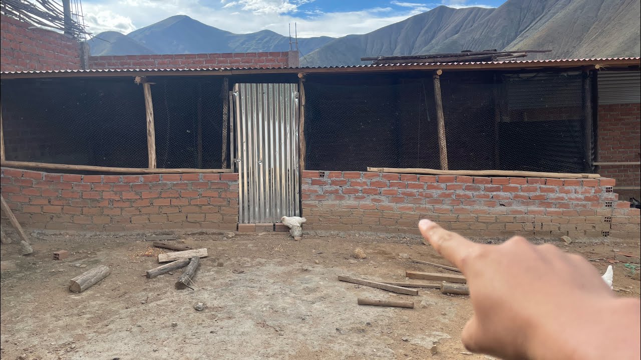 Cómo hacer un gallinero “perfecto” para tus gallinas 