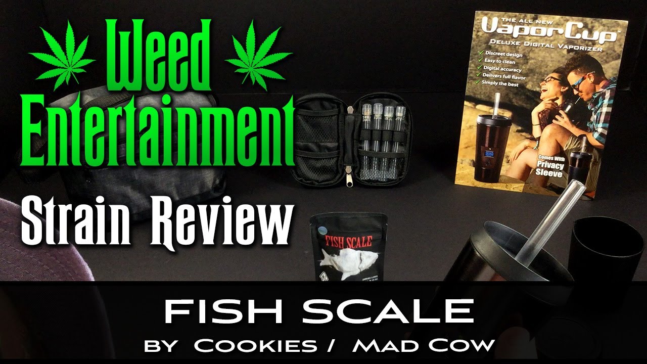 Fish Scale - by Cookies / Mad Cow - September 2021