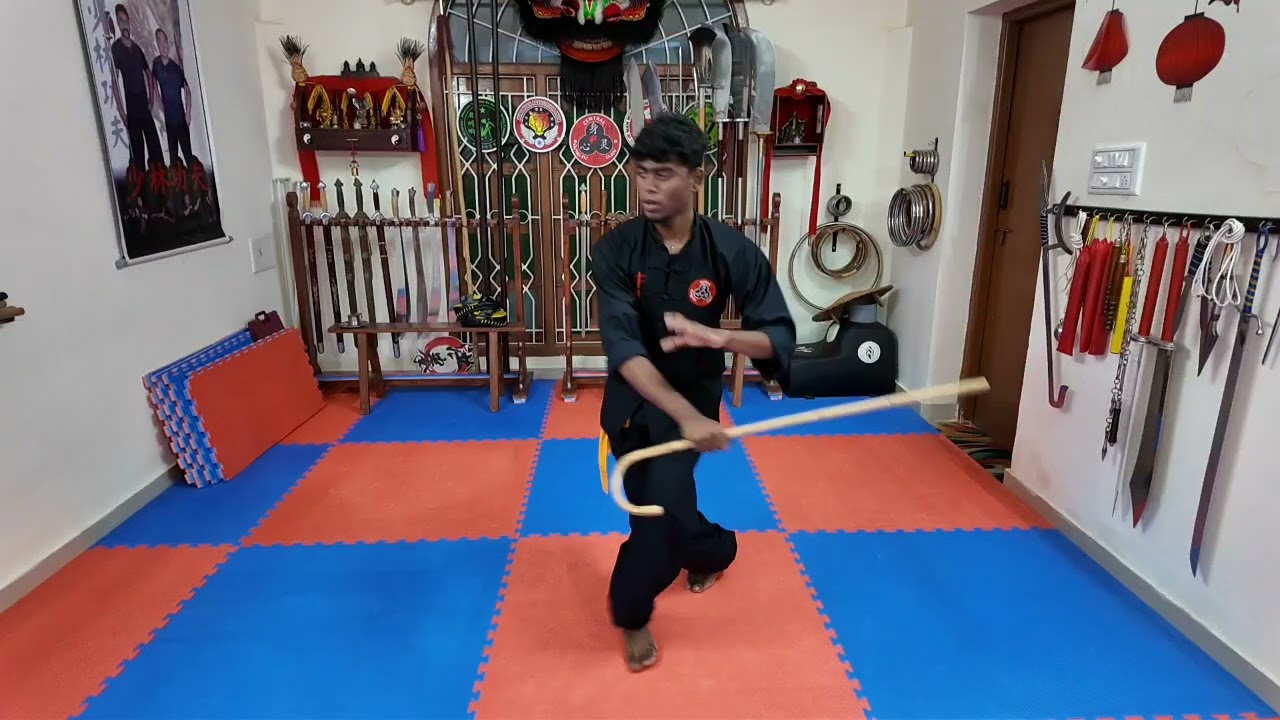 Hung Gar Walking Stick 洪家手杖