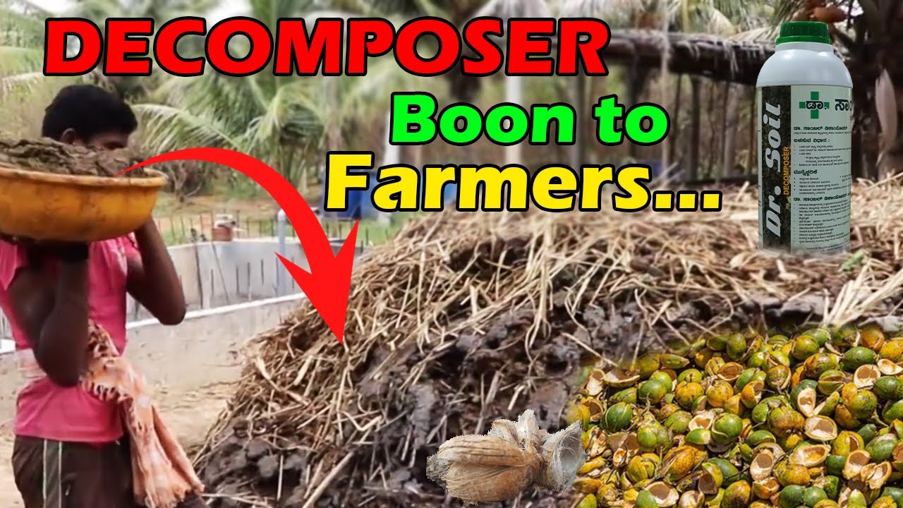 Organic waste converts into organic compost in just 1 month | Dr. Soil decomposer