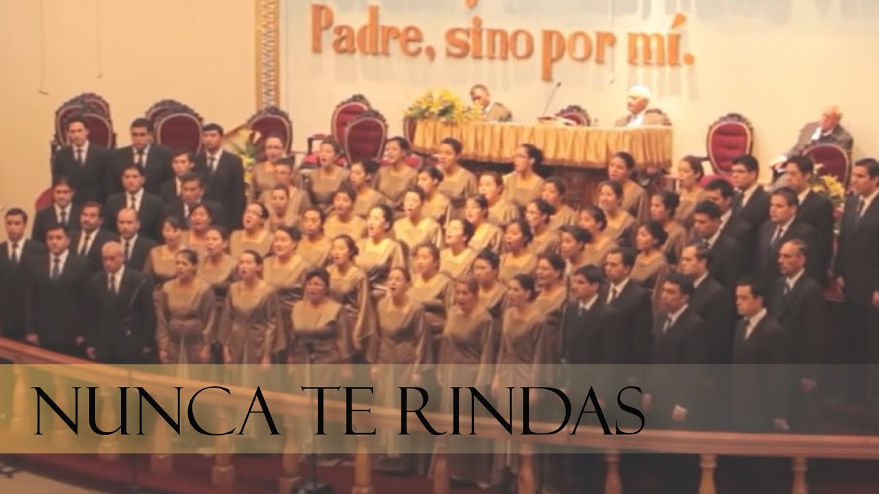 Nunca te rindas. CSA CIPSA 2012