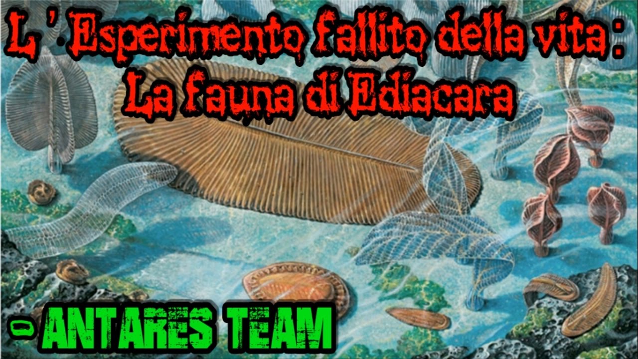 L'Esperimento Fallito della Vita: La Fauna di Ediacara