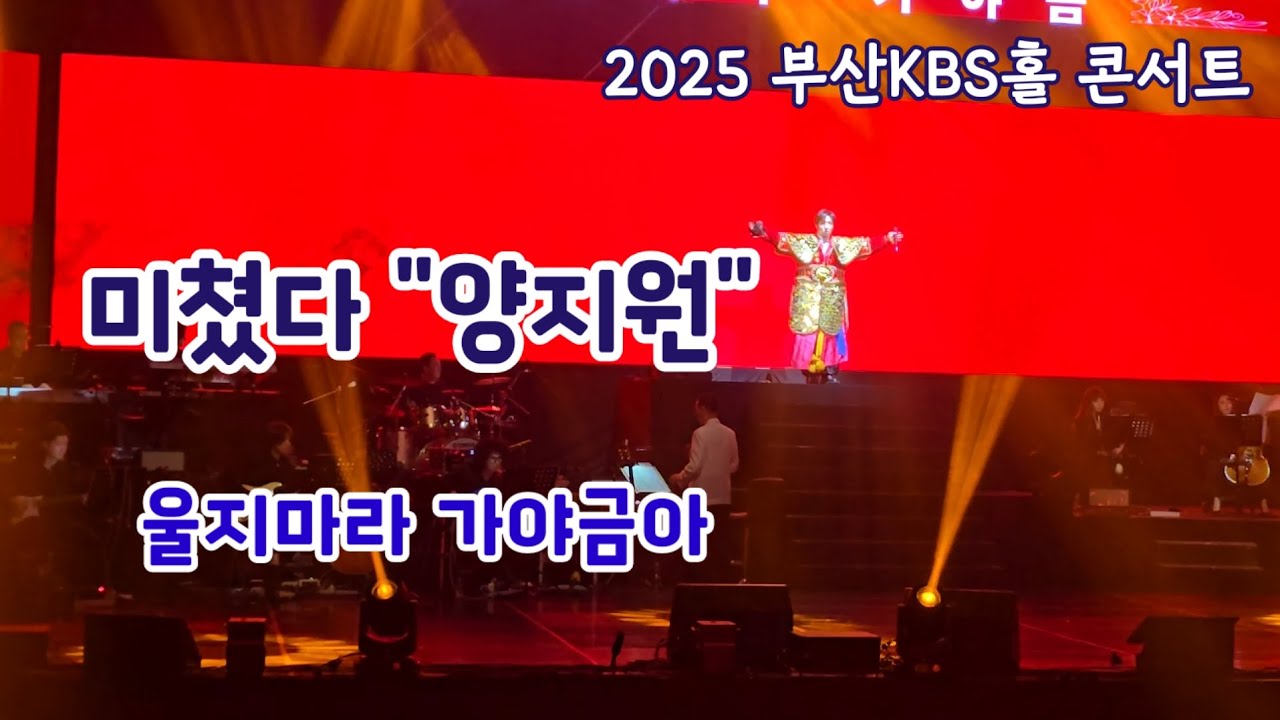 #양지원  #풀리네 울지마라 가야금아 2025양지원콘서트
