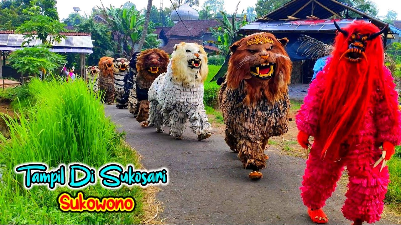 Can Macanan Singo Raung Cilik Di undang Acara KARNAVAL Santri Tampil SUKOSARI Sukowono