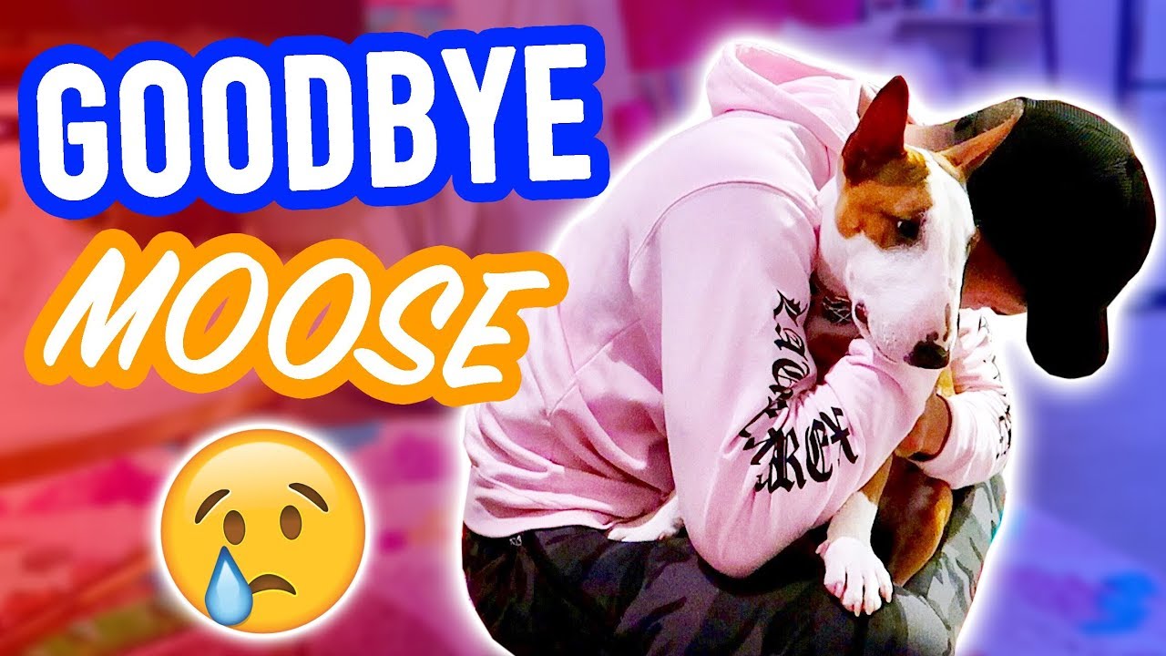 The Hardest Goodbye