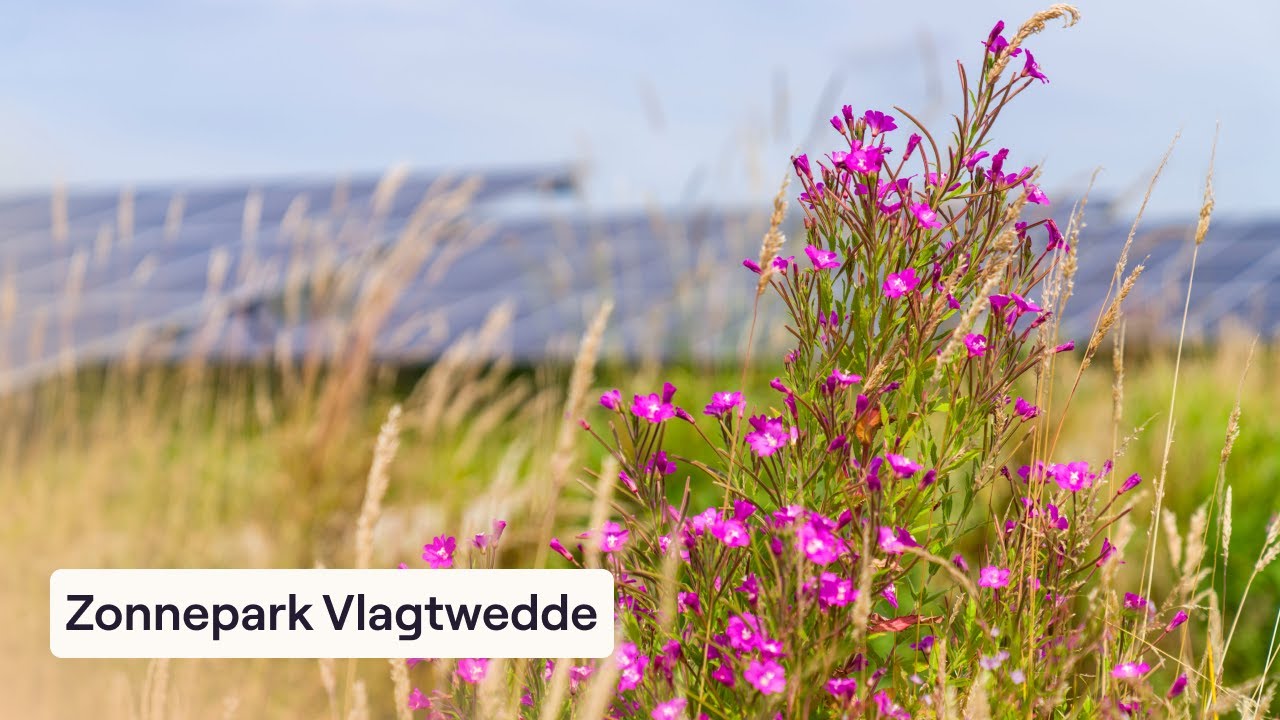 Zonnepark Vlagtwedde | PowerField
