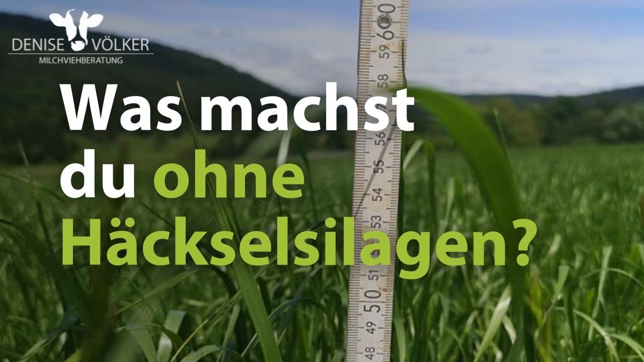 Was machst du ohne Häckselsilagen?