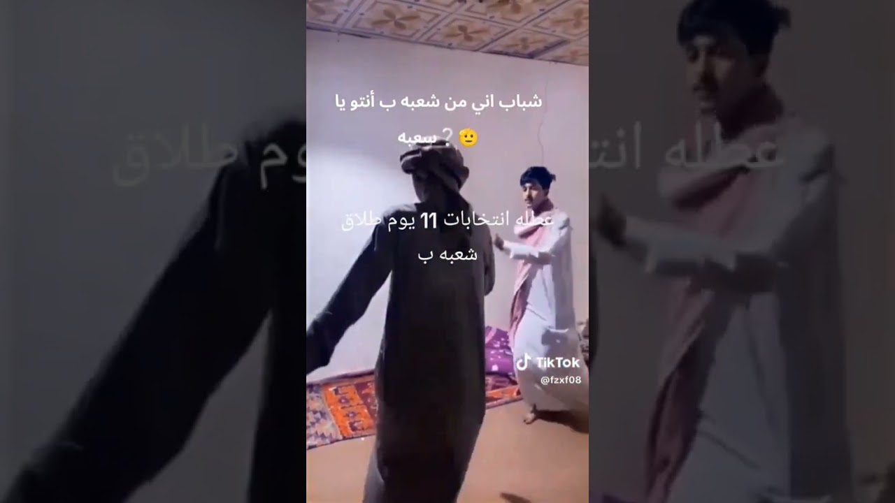 12 نوفمبر 2025