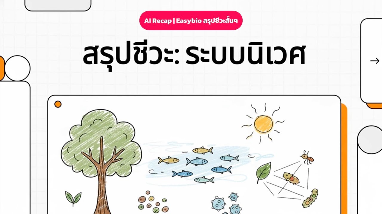 สรุประบบนิเวศ ทั้งบท - AI Recap | EasyBio สรุปชีวะสั้นๆ