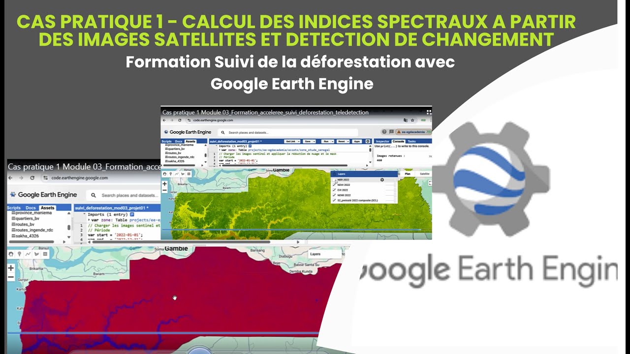 Cas pratique 1 - Indices de végétation et détection de changement - suivi déforestation GEE