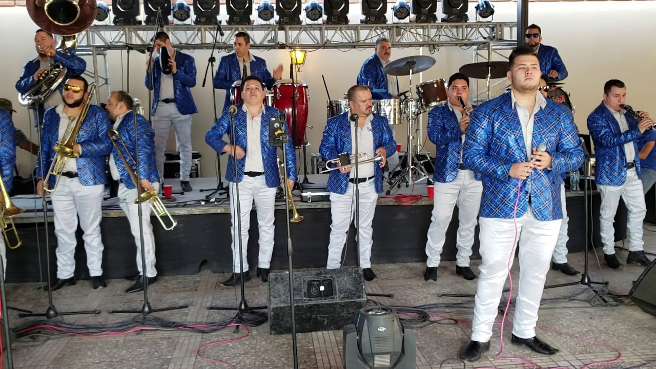 BANDA TRIGUERA - VUELA PALOMA