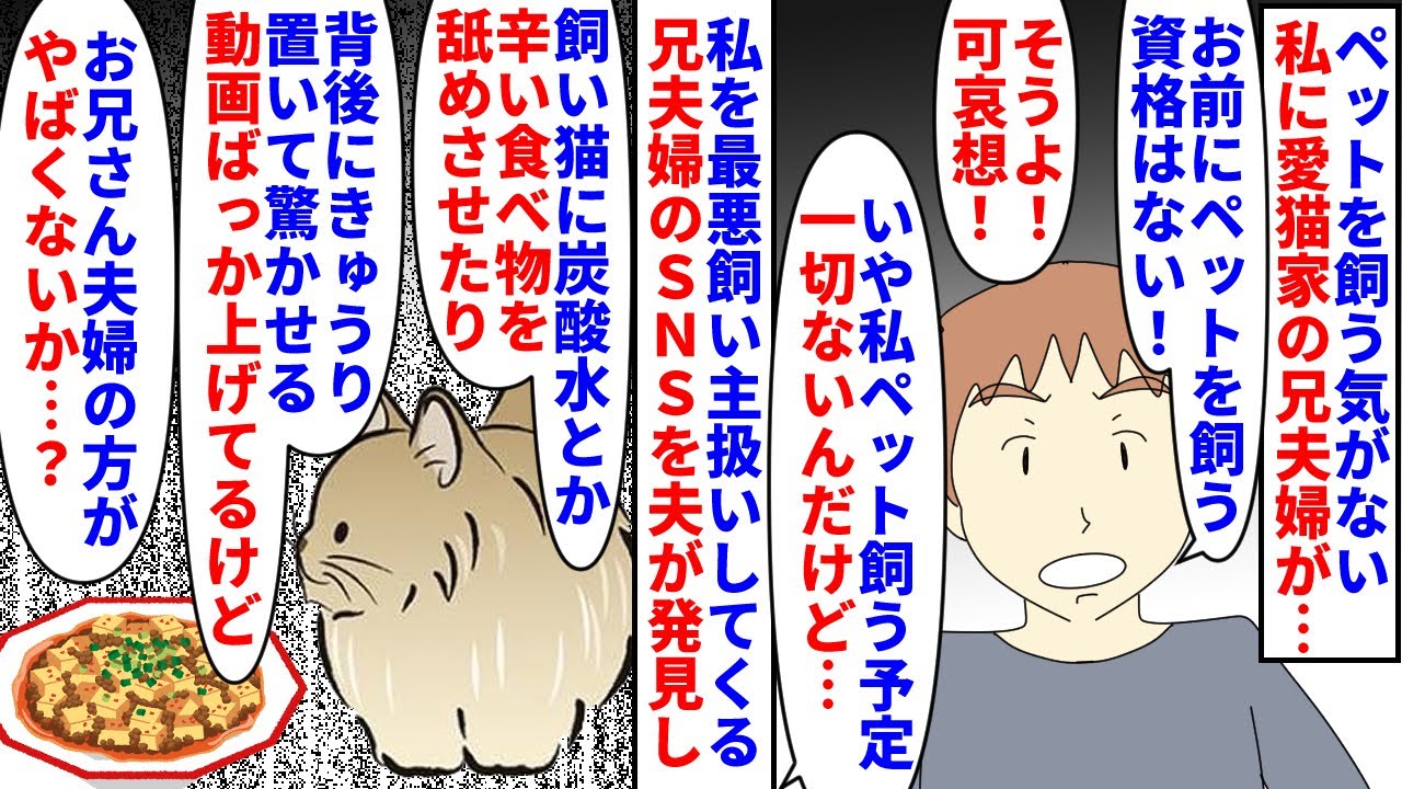 【漫画】兄「お前は最低の飼い主だ！絶対に動物を飼うな！」ペットを飼う気がない私→愛猫家の兄夫婦に会うたびペットを飼うなと言われ疲弊してると夫が兄夫婦のSNSを見つけ…（スカッと漫画）【マンガ動画】
