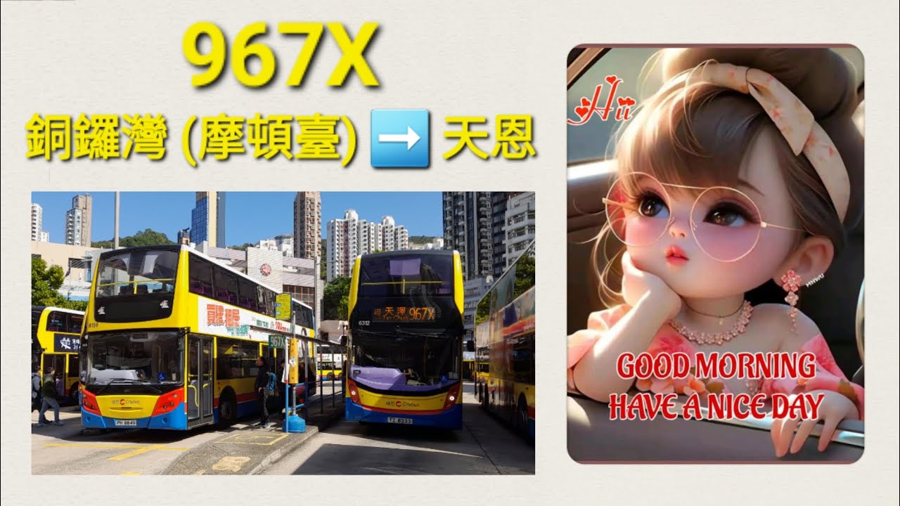 Hong Kong Bus CTB 6312 @ 967X 城巴 Alexander Dennis Enviro500 MMC New Facelift 銅鑼灣(摩頓臺) 天恩