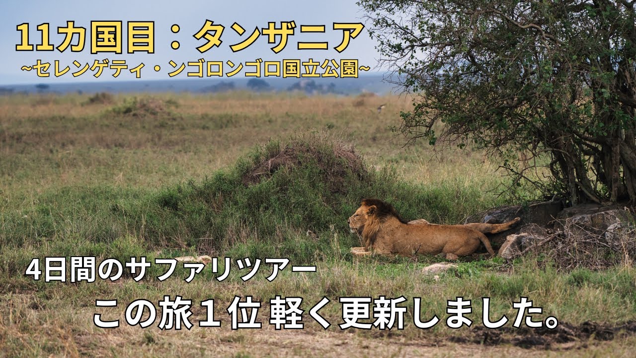 [世界一周] 11カ国目：タンザニア -サファリ編-