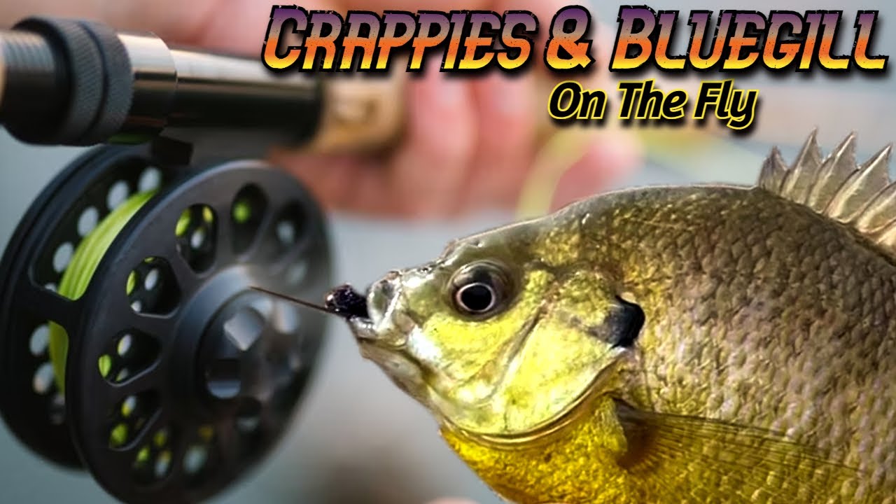 Fly Fishing for Crappie and Bluegill (Panfish on the Fly Rod)