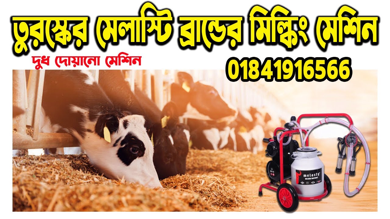 #cow milkine machine | #cow_milking_machine_set_up | মিল্কিং মেশিন | গাভির দুধ দোহন মেশিন