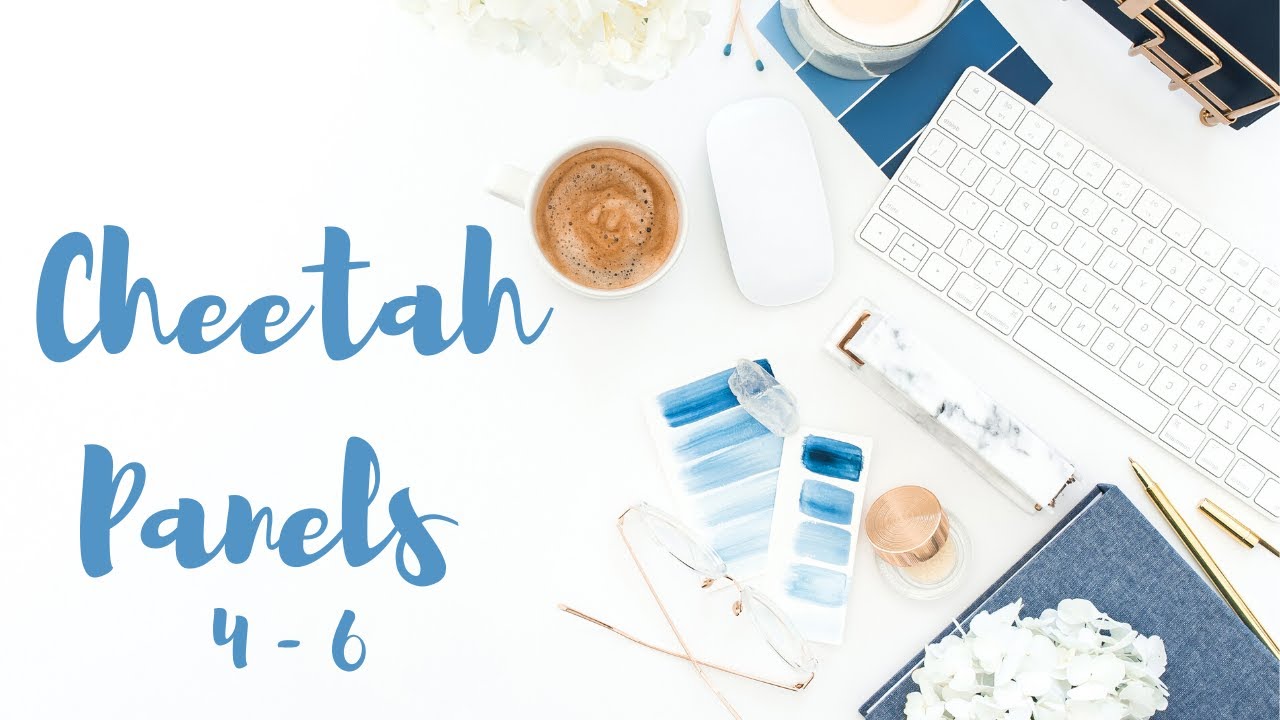 Builderall Cheetah Website Builder - Panels 4 5 6