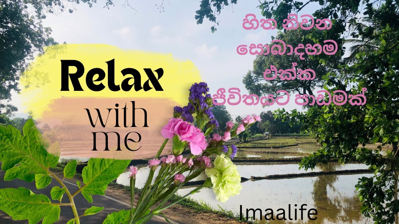 😌🍃 Mind-blowing Nature | සිත නිවන සොබාදහම සමග ජීවිතයට ඔවදනක්! 🌅✨ | Stress Relief & Relaxing Video