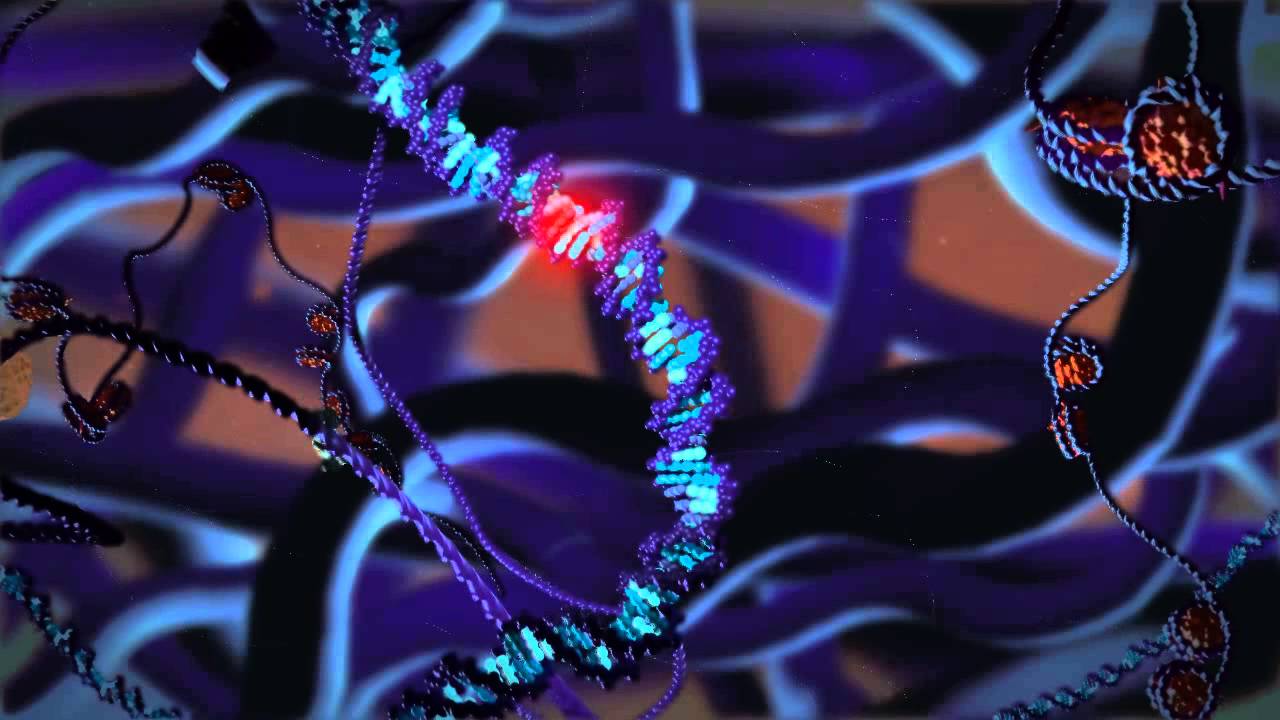 Tumor Supressor Gene Regulation in Cancer Cells