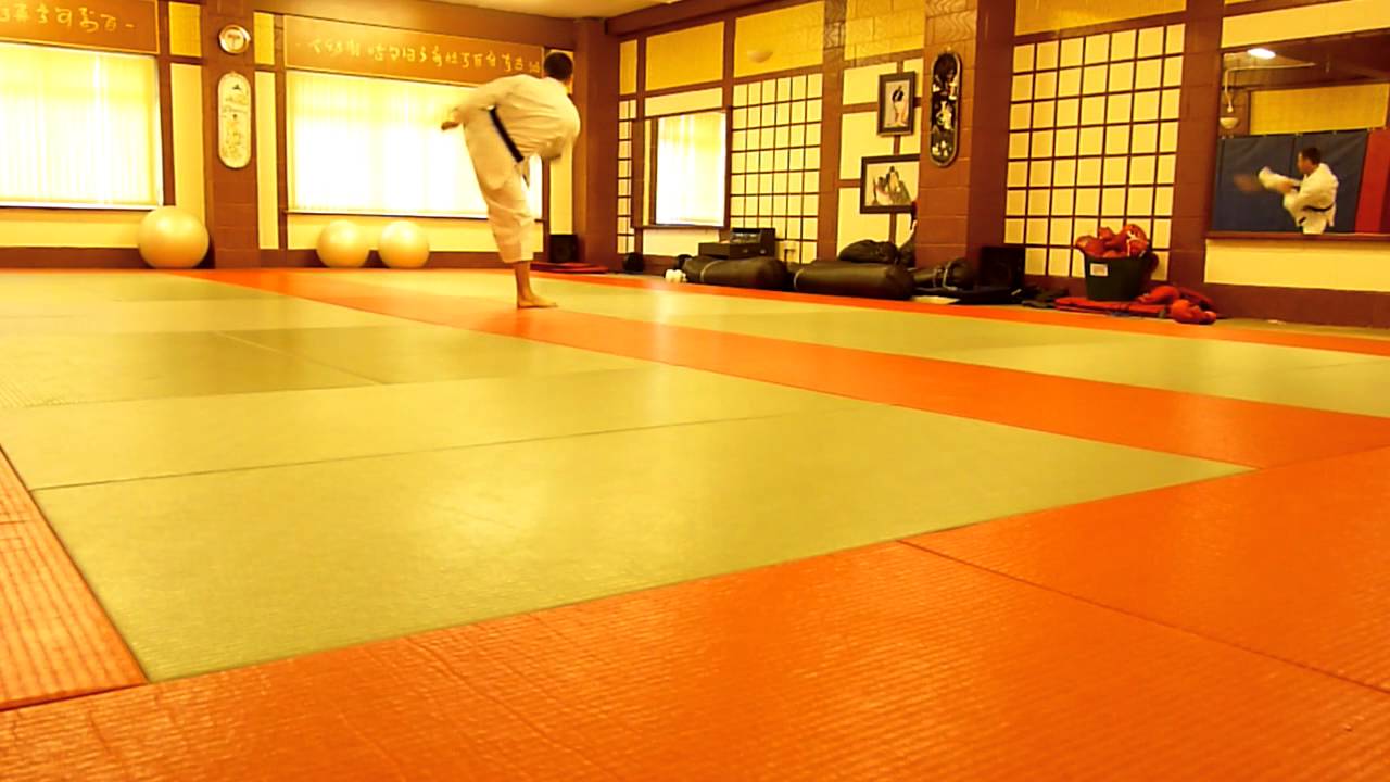 Shotokan Karate Grading Syllabus 3rd Kyu to 2nd Kyu