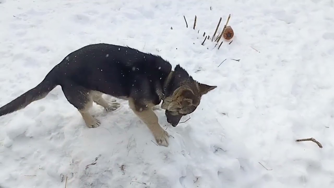 ДРУЖОК! От варежки до валенка! ❄️