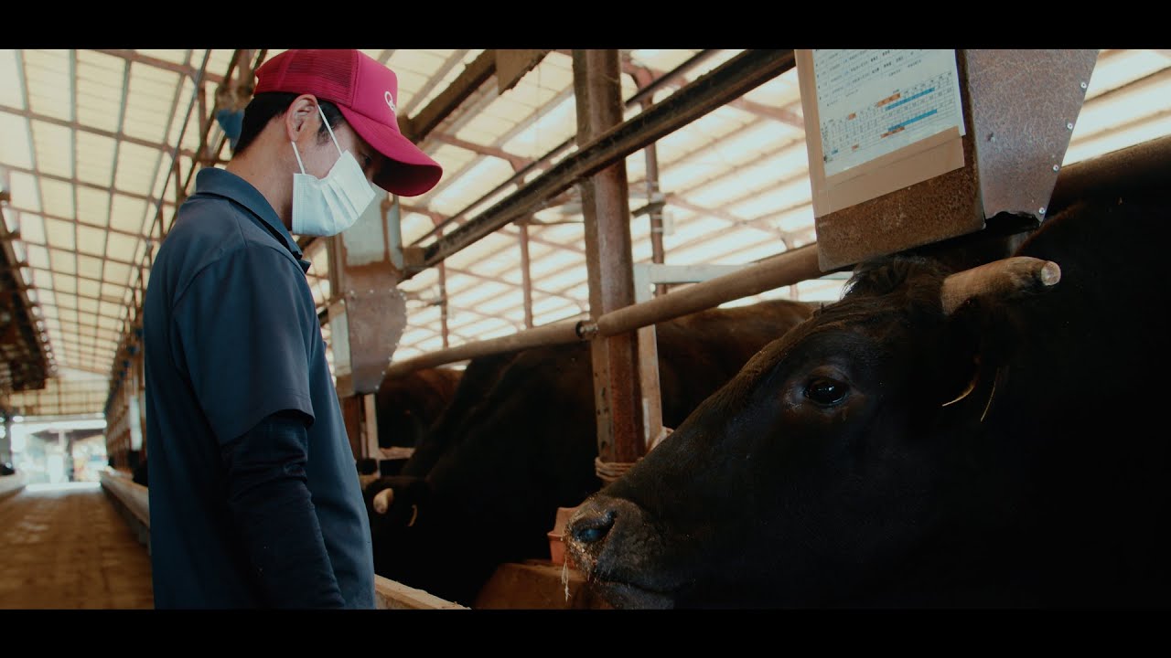 The Story of Japanese Wagyu -THE CRAFTSMANSHIP-