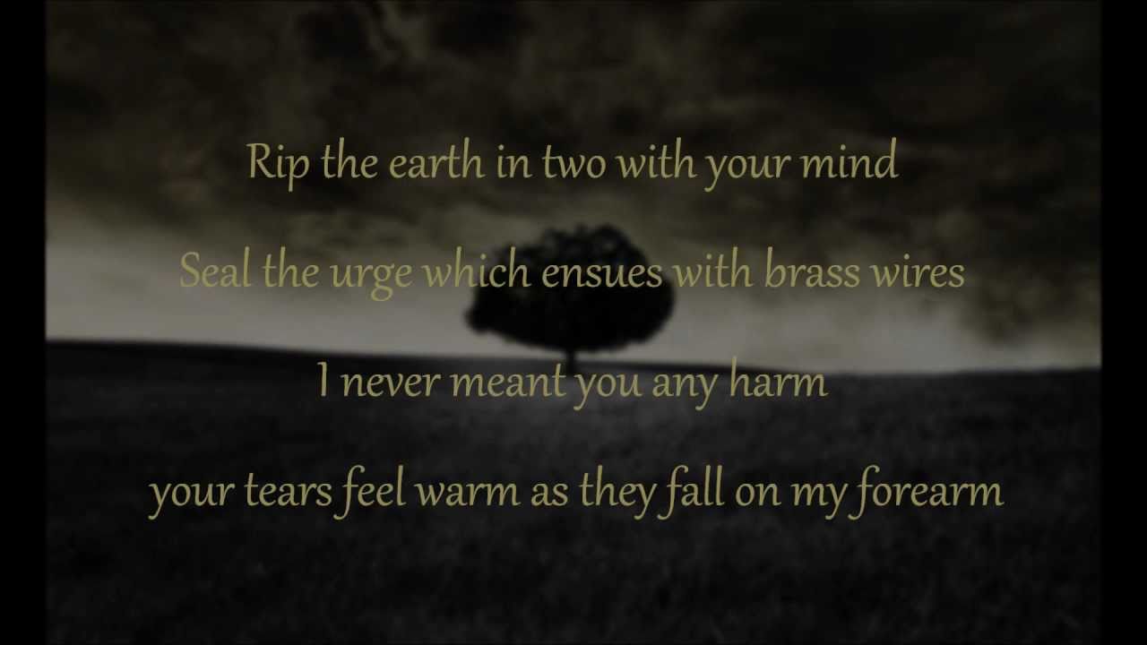 Mumford & Sons - I gave you all (lyrics)