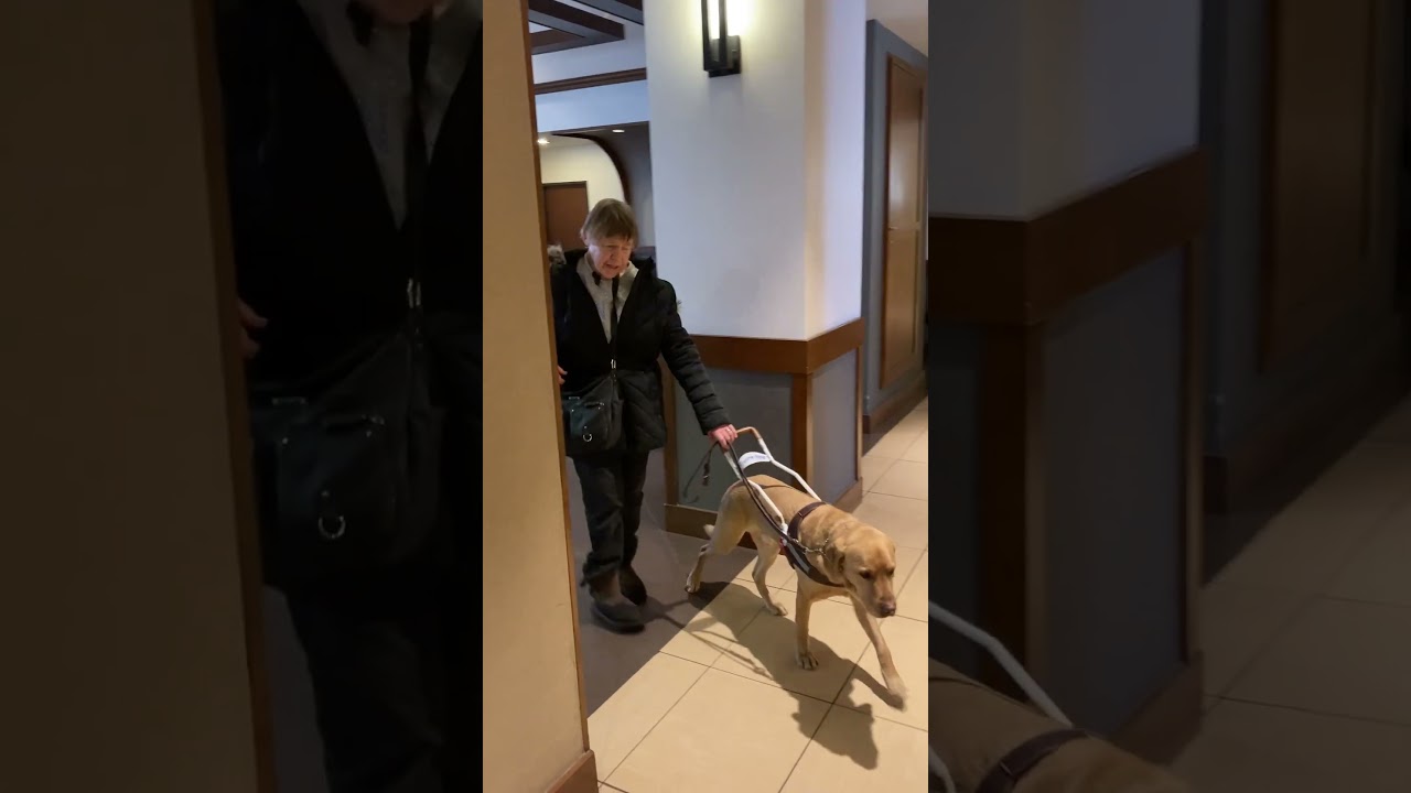 How Does a Guide Dog for the Blind Find an Elevator Anyway?