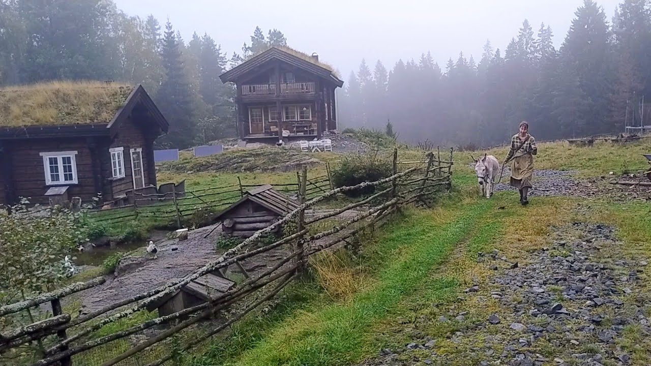 Visitors & ointment making, Homestead Diary from the Norwegian Woods 