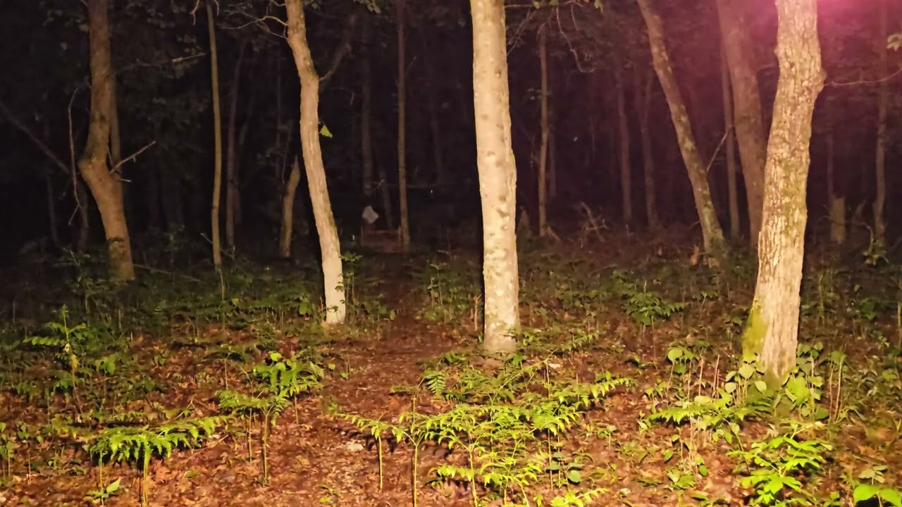 Fenix CL28R Lantern - My Thoughts and an Underrated Feature